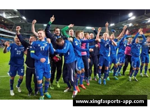 冰岛足球风云：北欧之光的传奇球员们